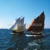 Image de Marque-Brest Nautique-00060